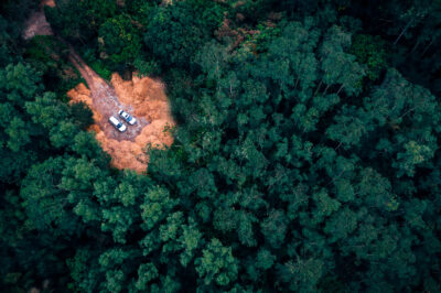 Car in the forest